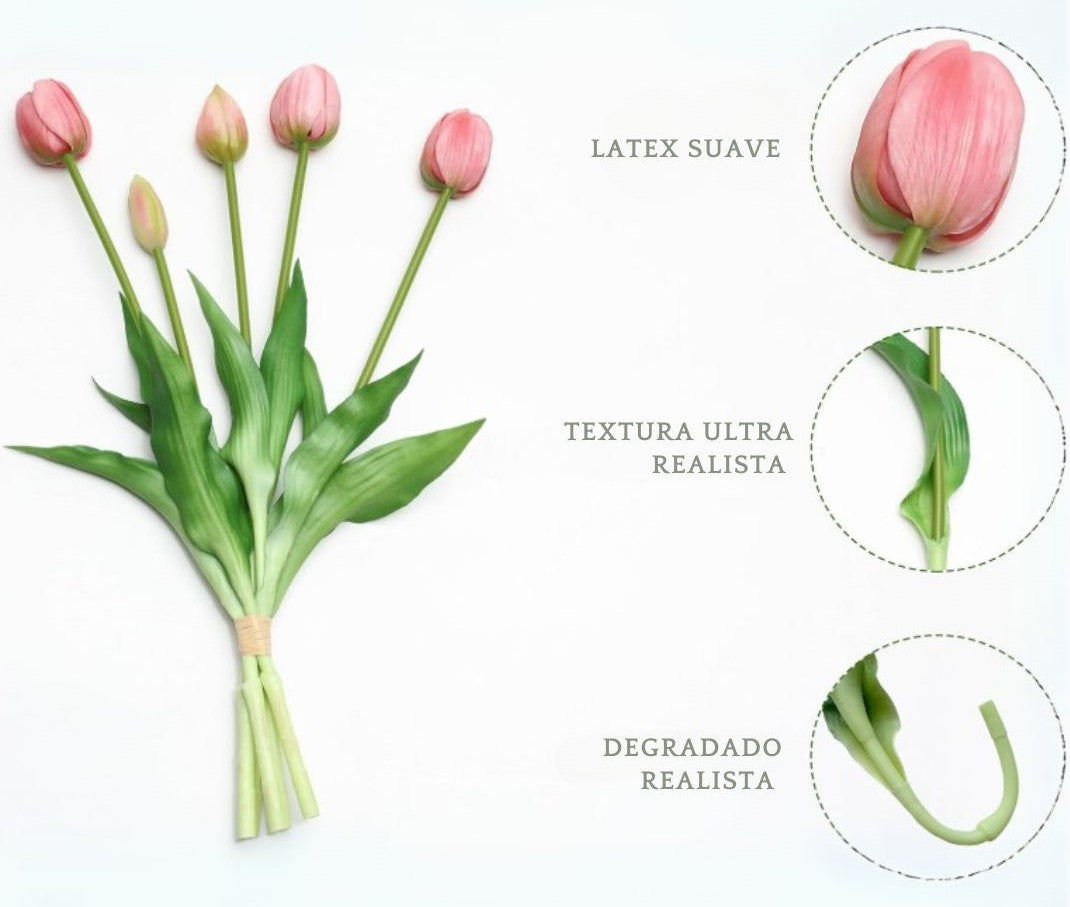 Tulipanes Ultra Realistas