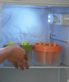 Molde para Paletas